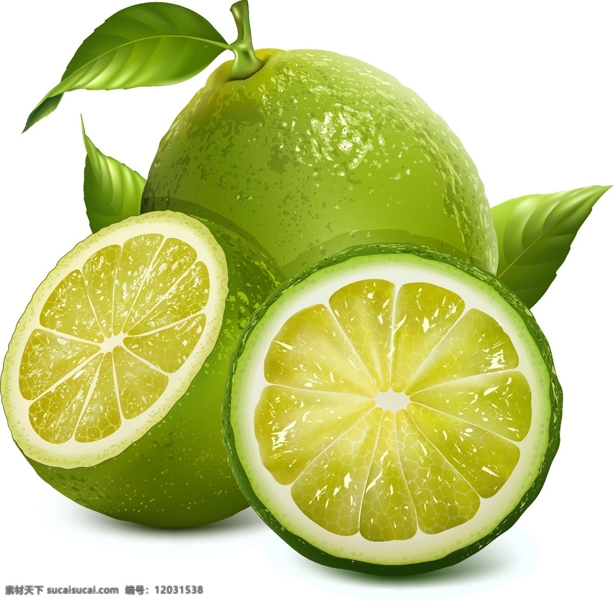 柠檬 绿叶 美食 生物世界 水果 柠檬矢量素材 柠檬模板下载 矢量 矢量图 日常生活