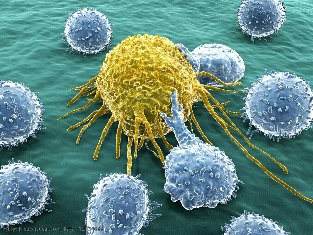 癌症 细胞 生物细胞 癌细胞 病毒 细胞图片 现代科技
