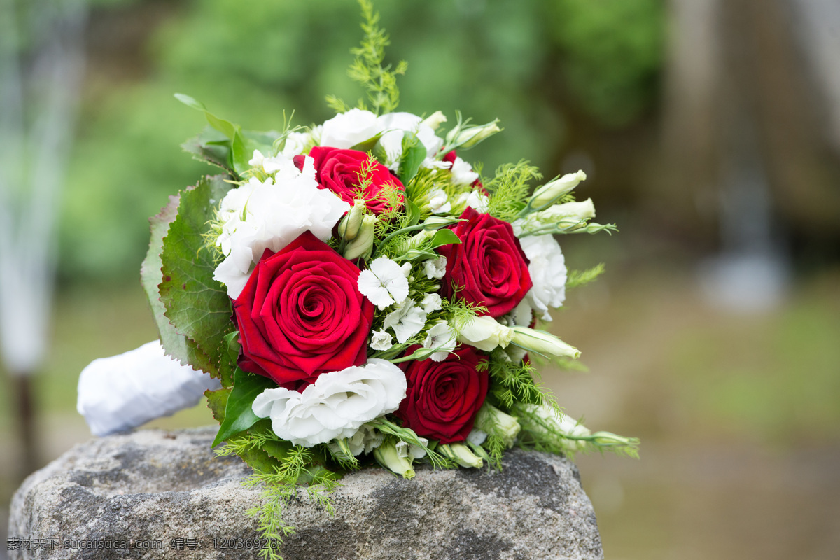 石头 上 玫瑰花 花朵 花束 婚礼用品 婚庆 节日庆祝 西式 结婚 婚礼 情人节 婚礼图片 生活百科