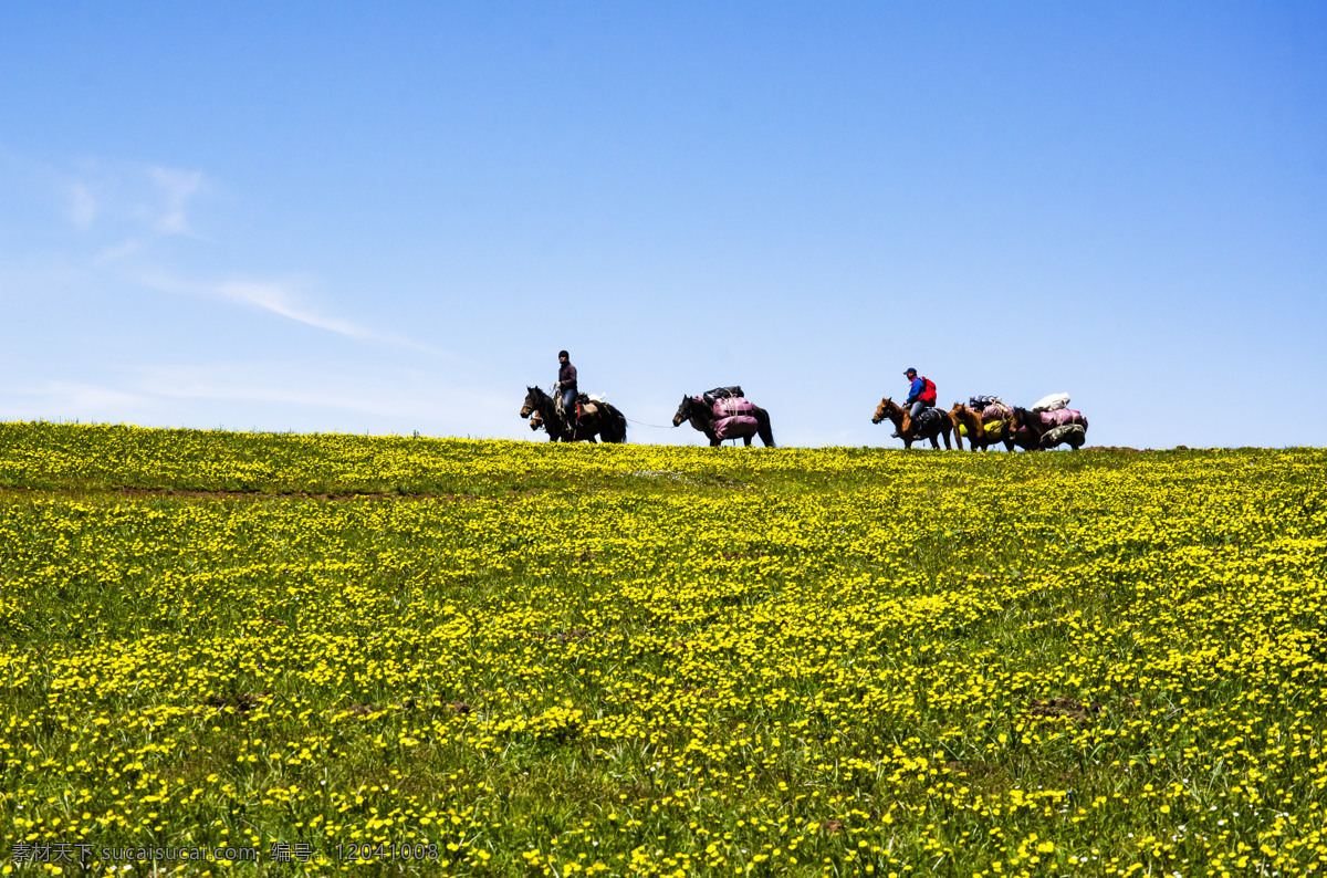 马队迁徙 喀拉峻 草原 骑马 旅行 旅游摄影 国内旅游