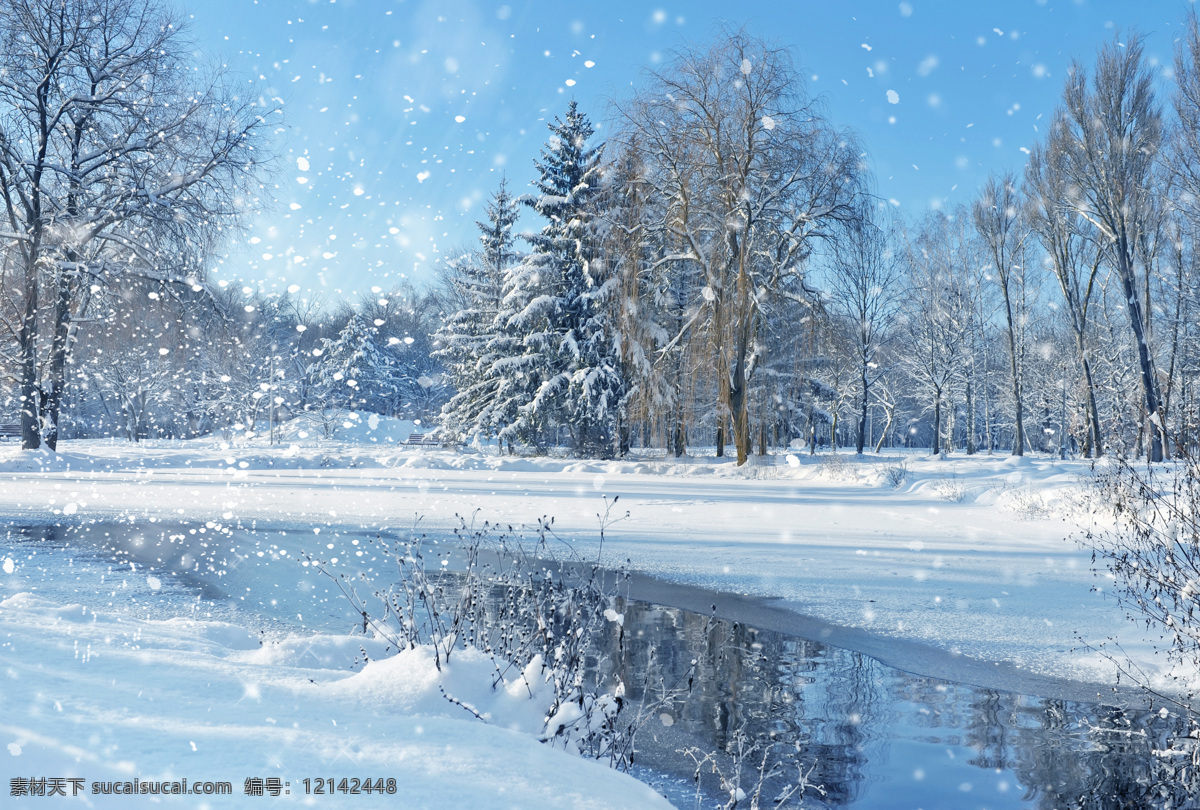 雪 中 河流 树林 雪中的河流 溪流 雪地 树木 雪景 冬景 山水风景 风景图片