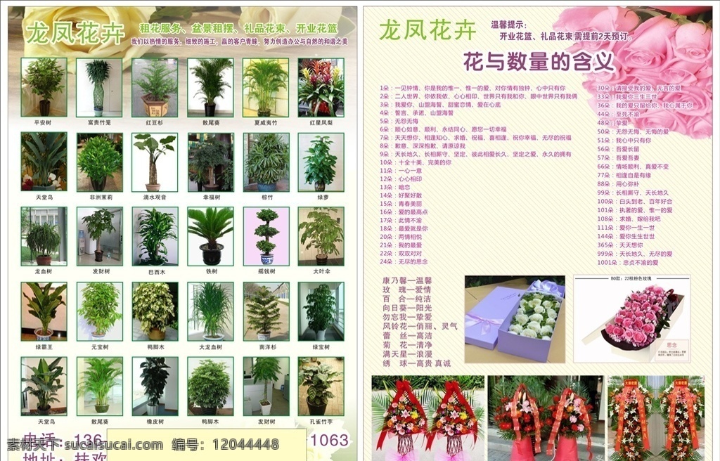 龙凤花卉传单 龙凤花卉 龙凤 花卉 dm 单 花卉传单 花卉dm单 花卉广告 花卉单张 cdr源文件 dm宣传单