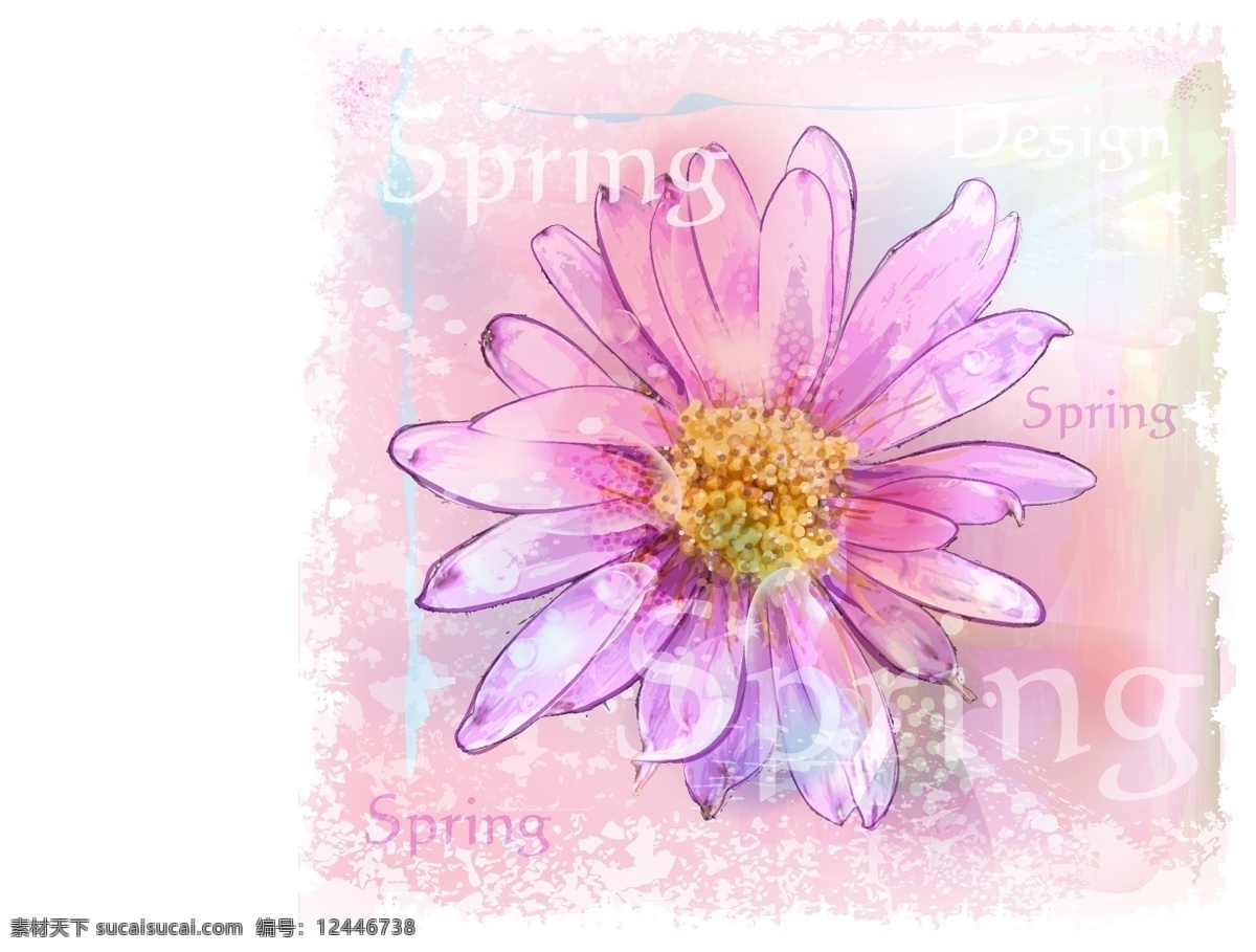 粉色 水彩 菊花 矢量 插画 春季 花卉 矢量图 其他矢量图