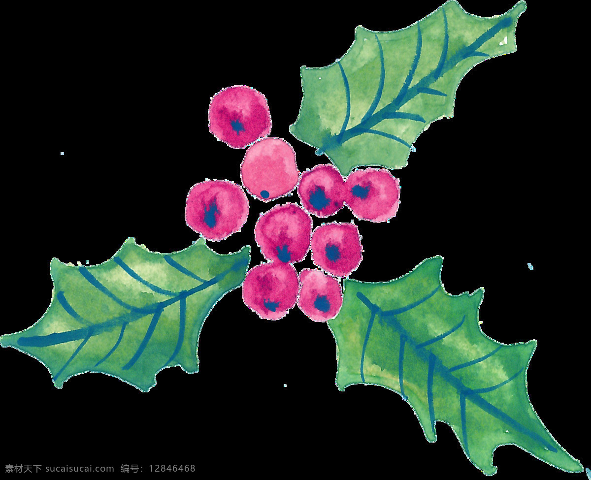 墨绿 植物 透明 卡通 抠图专用 装饰 设计素材