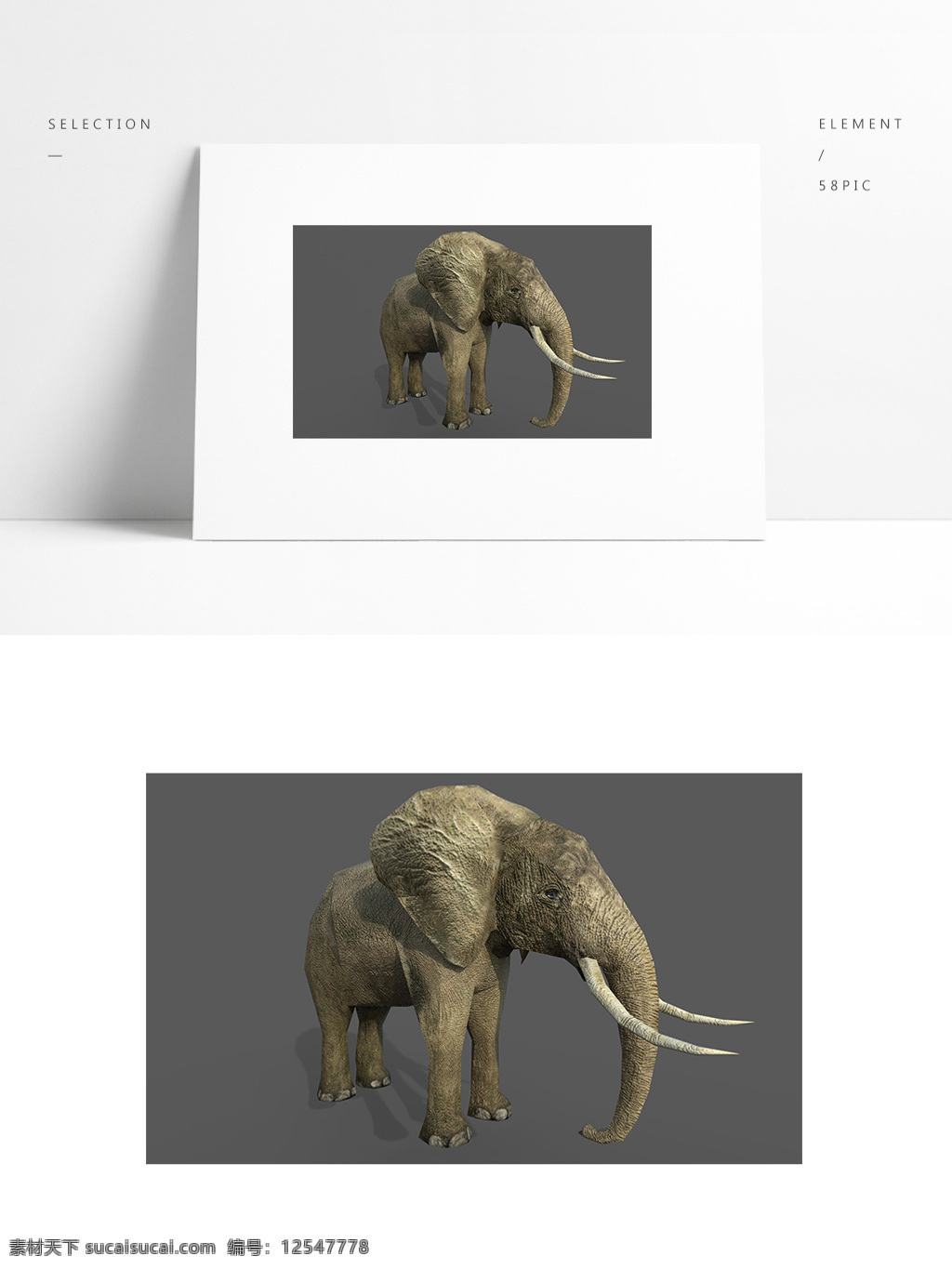 写实 动物 模型 大象 带 贴图 矢量图