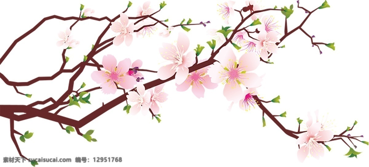 矢量 桃花 装饰 元素 树枝 花朵