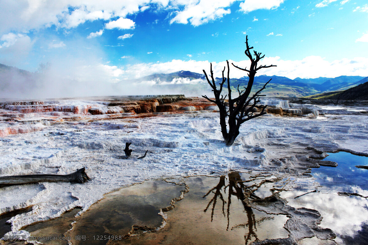 美国 黄石公园 旅游 自然风光 火山灰 枯树 远山 天空 国外旅游 旅游摄影