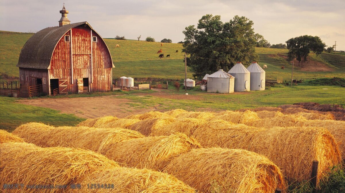 国外农场 农场 木屋 草地 树木 麦秆 自然景观 田园风光