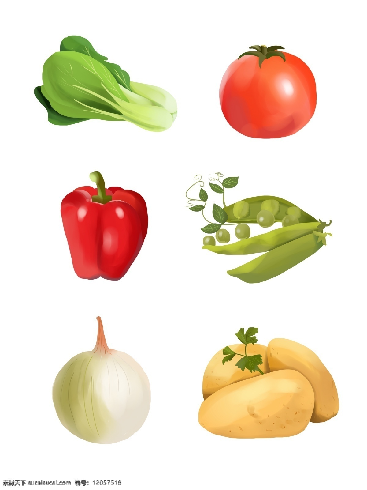简约 手绘 蔬果 小白菜 番茄 红椒 豌豆 洋葱 土豆 蔬菜 插画 西红柿 白菜 甜椒