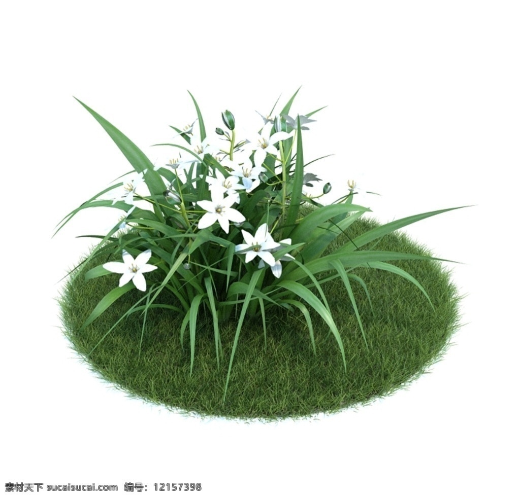 花模型 植物模型 树木 绿色植物 景观植物 观赏 vray模型 室内模型 3d设计 max