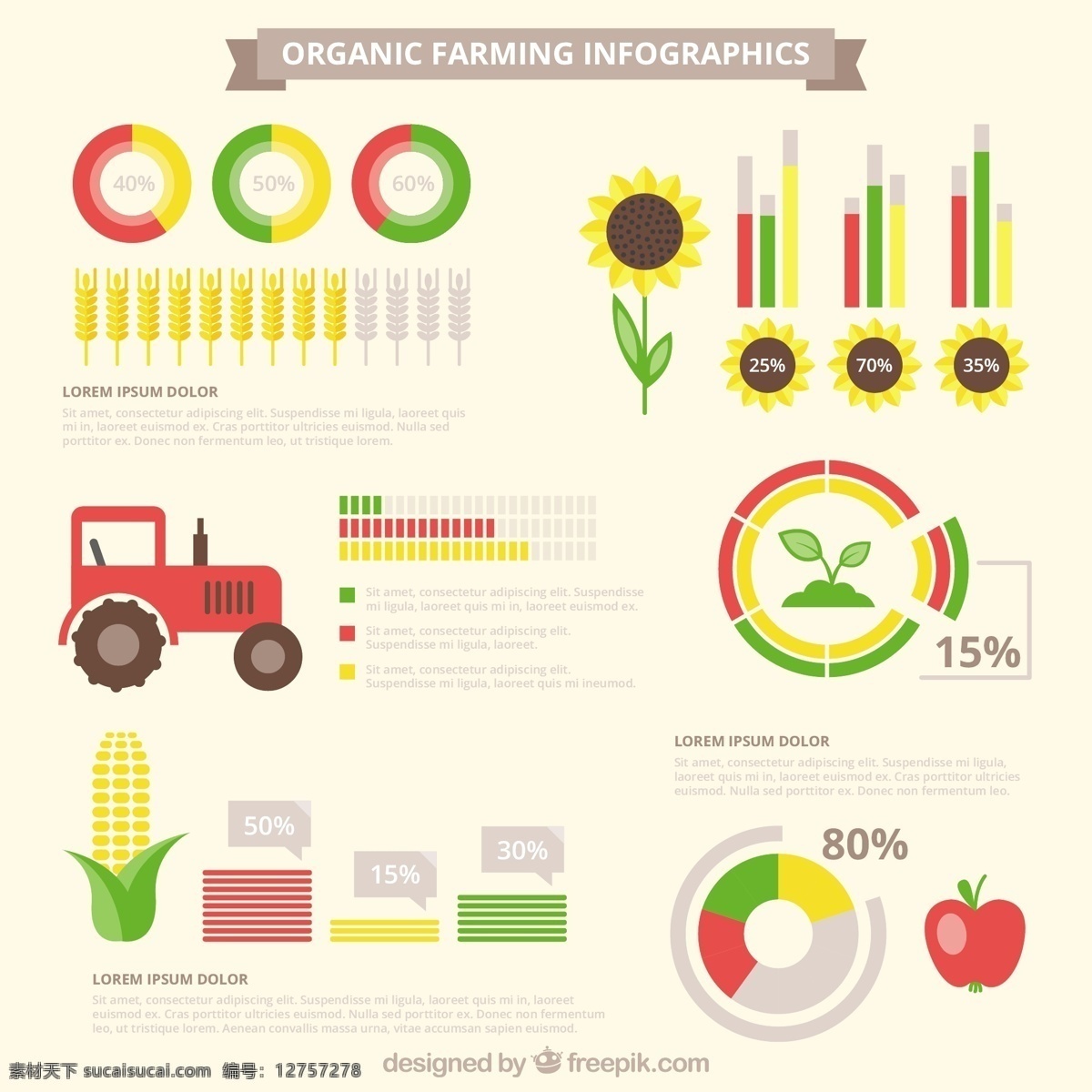 有机 infography 图表 元素 食品 手工 自然 手绘 苹果 蔬菜 图形 生态 能源 图 信息 流程 数据 健康 图表元素 白色