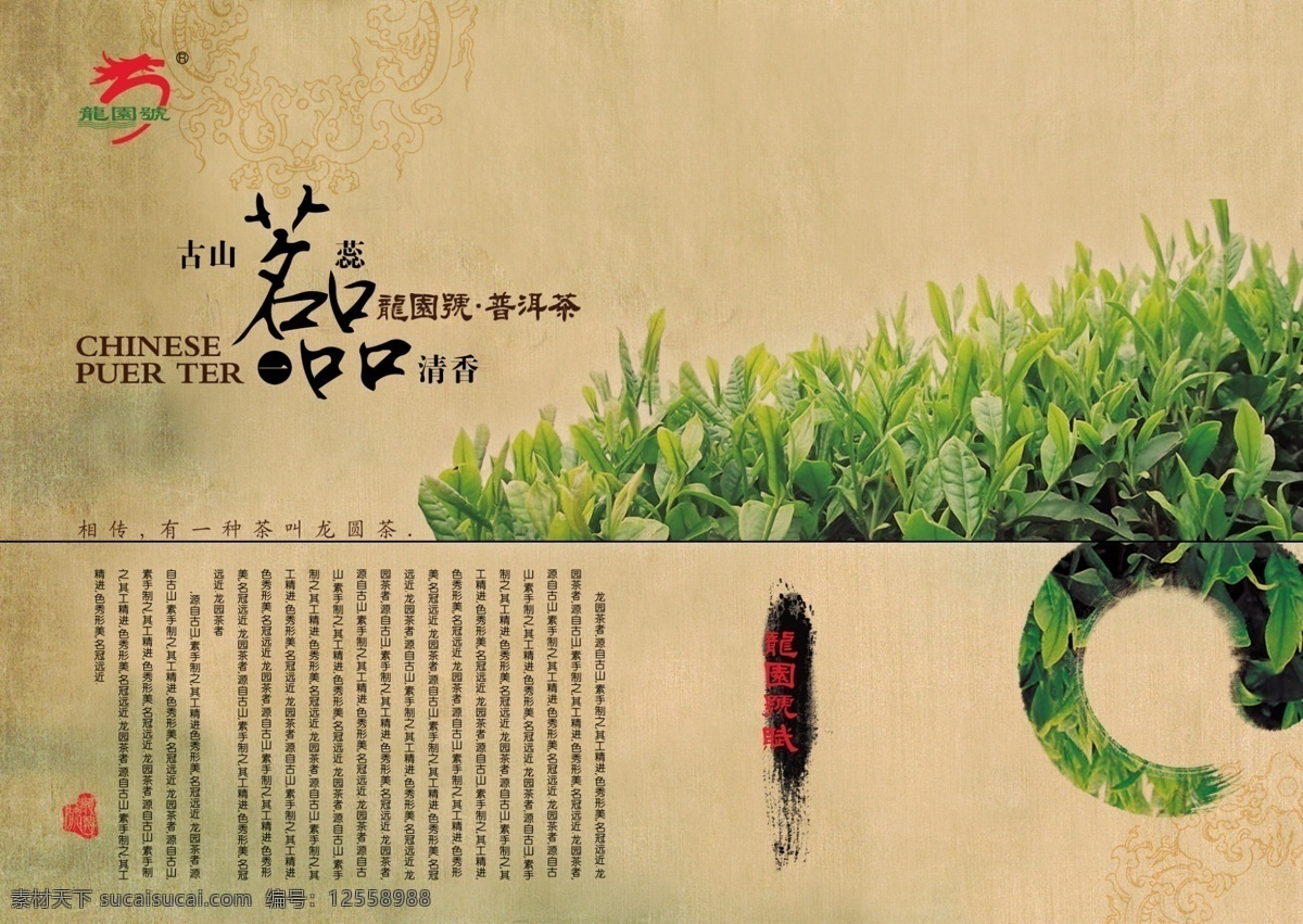 中国 风 普洱茶 宣传 广告 psd素材 茶叶 中国风 中国风广告 普洱茶广告 psd源文件