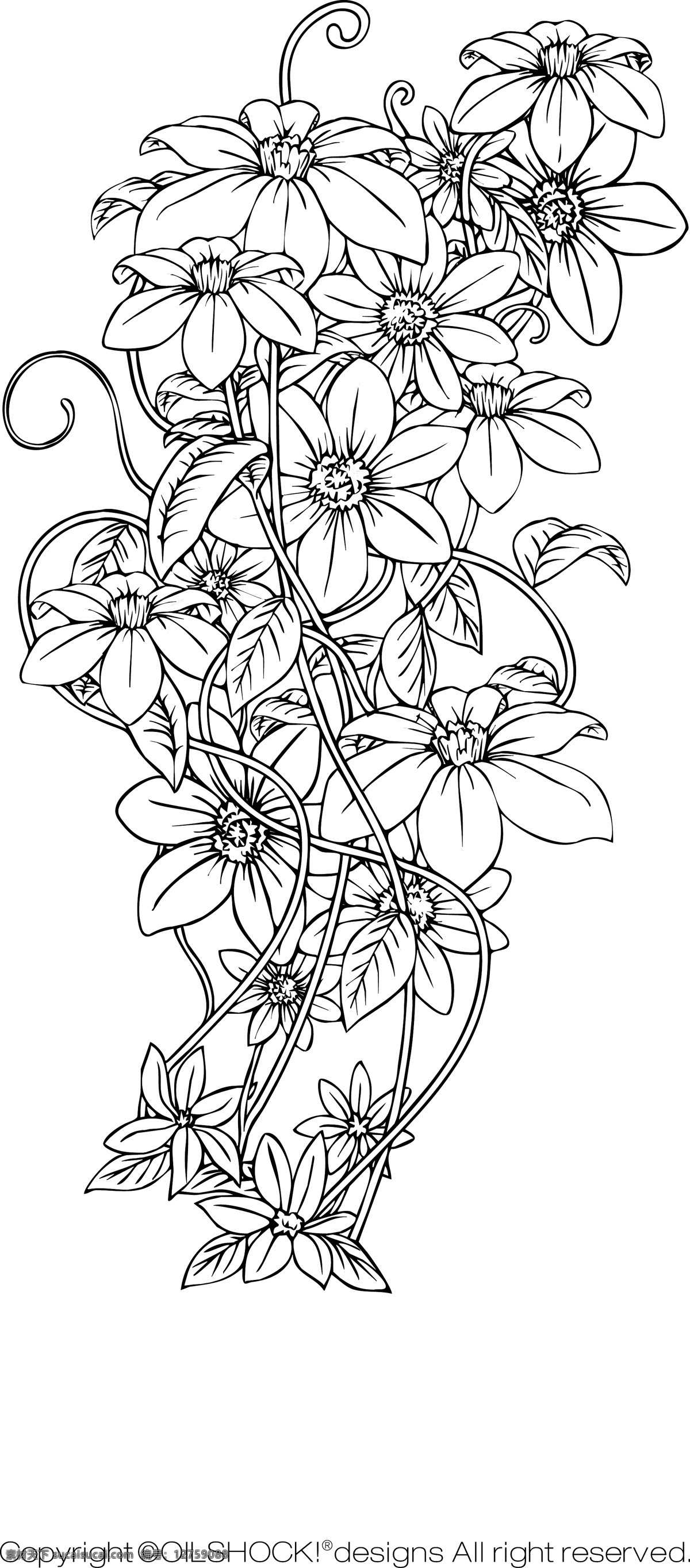 精美 手绘 花朵 背景 创意 广告 花纹 平面 宣传 矢量