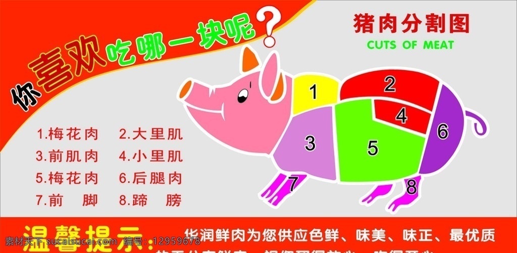猪肉分割图 猪 超市挂画 猪肉分割 餐饮美食 生活百科 矢量
