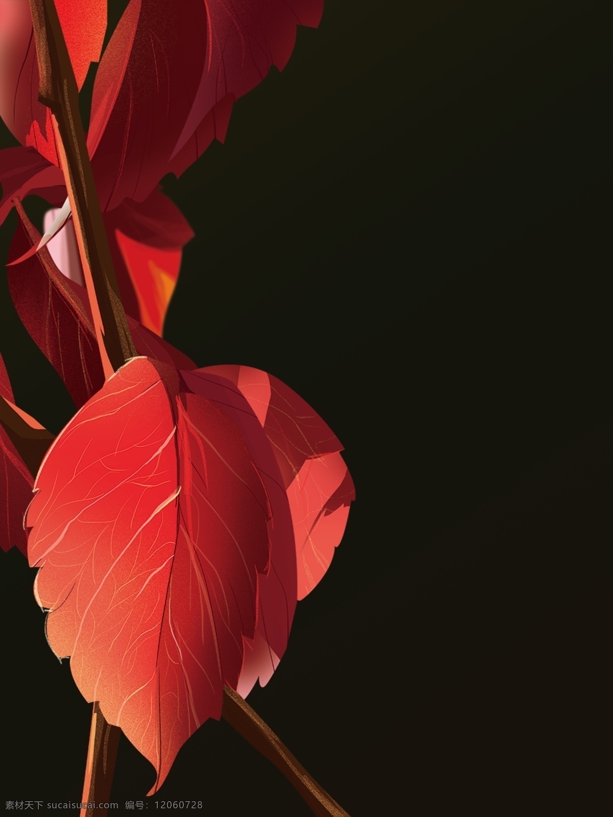 秋分 唯美 手绘 叶子 插画 背景 手绘叶子 广告背景 背景素材 背景展板 彩色背景