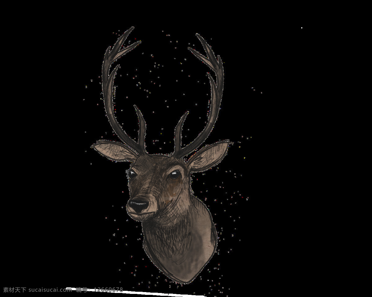 棕 褐色 鹿头 免 抠 透明 棕褐色的鹿头 棕褐色的鹿 鹿 广告 圣诞 驯鹿图片 圣诞驯鹿图片