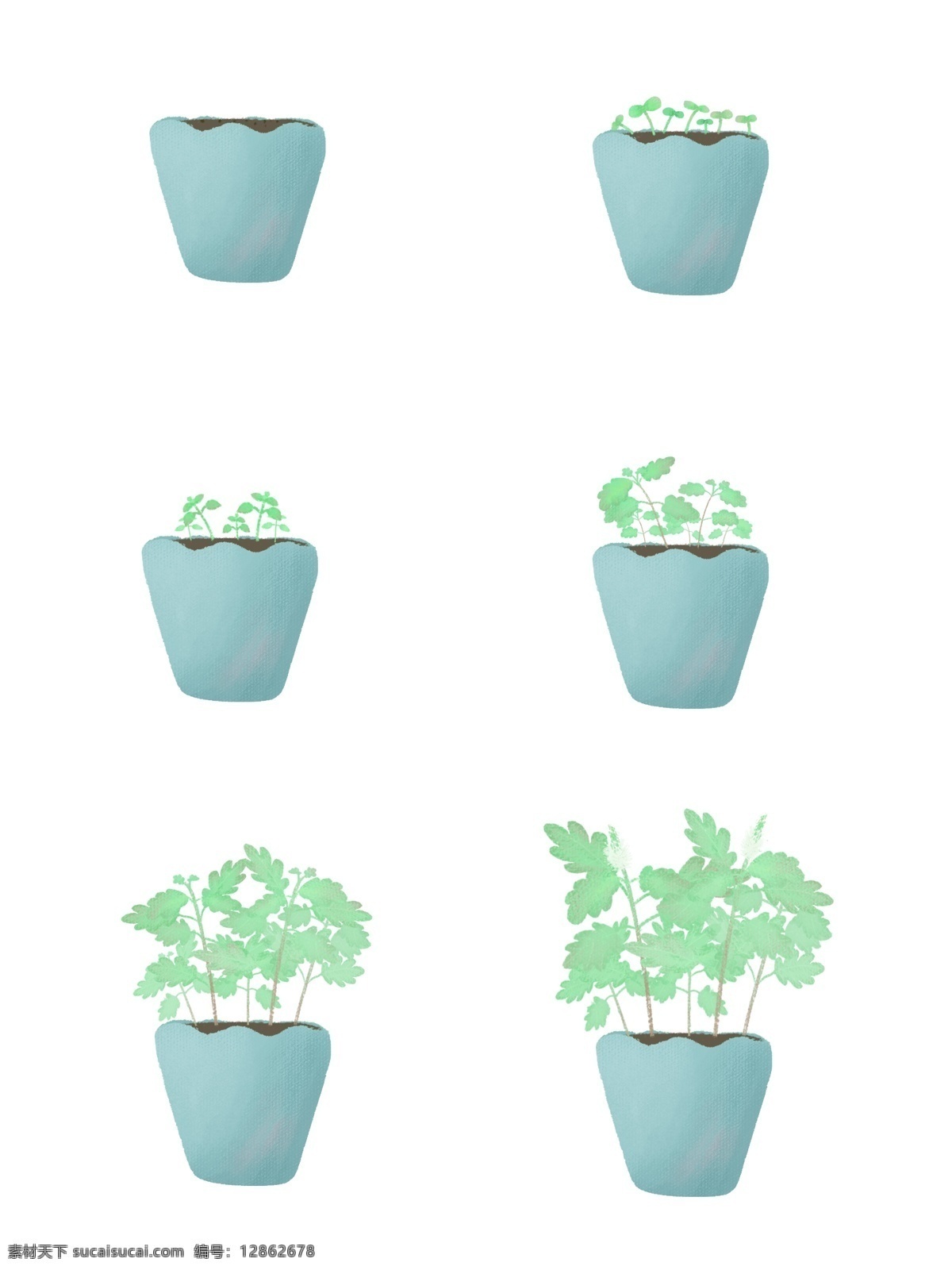 手绘 绿色 薄荷 植物 生长 过程 手绘薄荷 小清新 手绘植物 绿色植物 盆栽