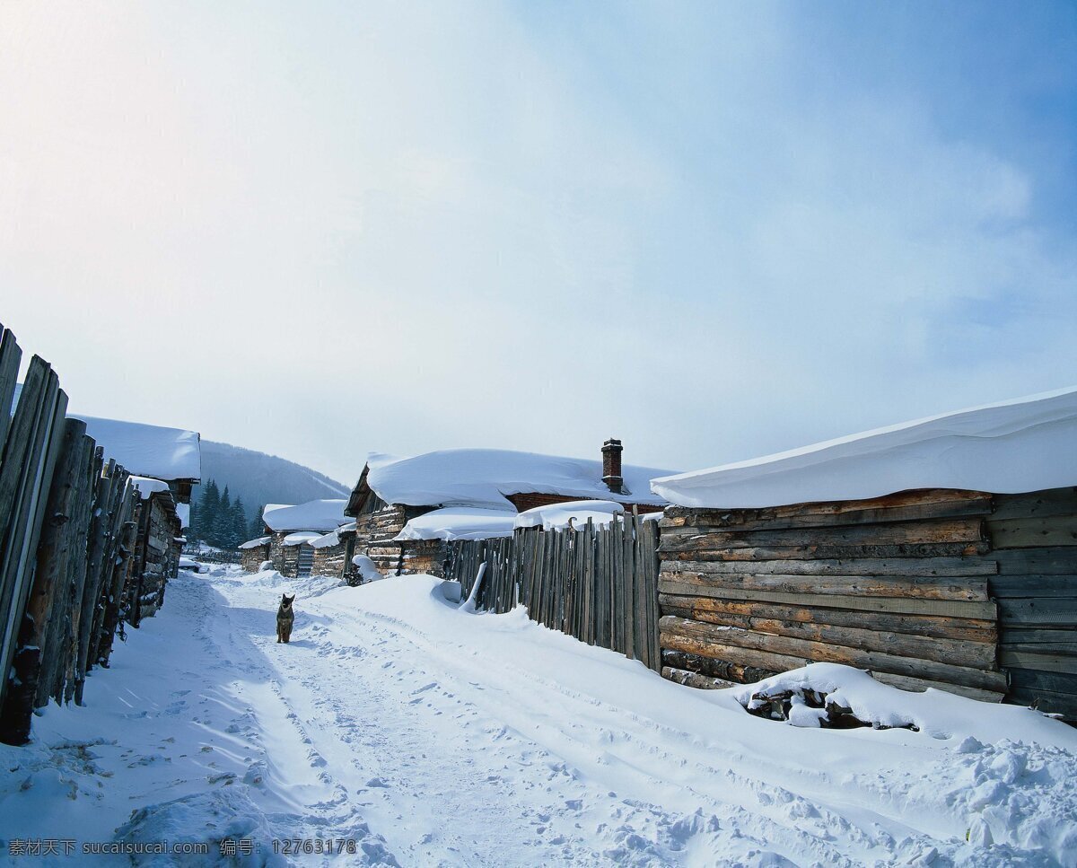 冬季 村庄 小路 上 动物 天空 蓝天白云 阳光明媚 冬天 寒冷 雪景 白雪皑皑 住家 人家 狗 木屋 栅栏 冬景 风景 高清风景图片 高清图片 山水风景 风景图片