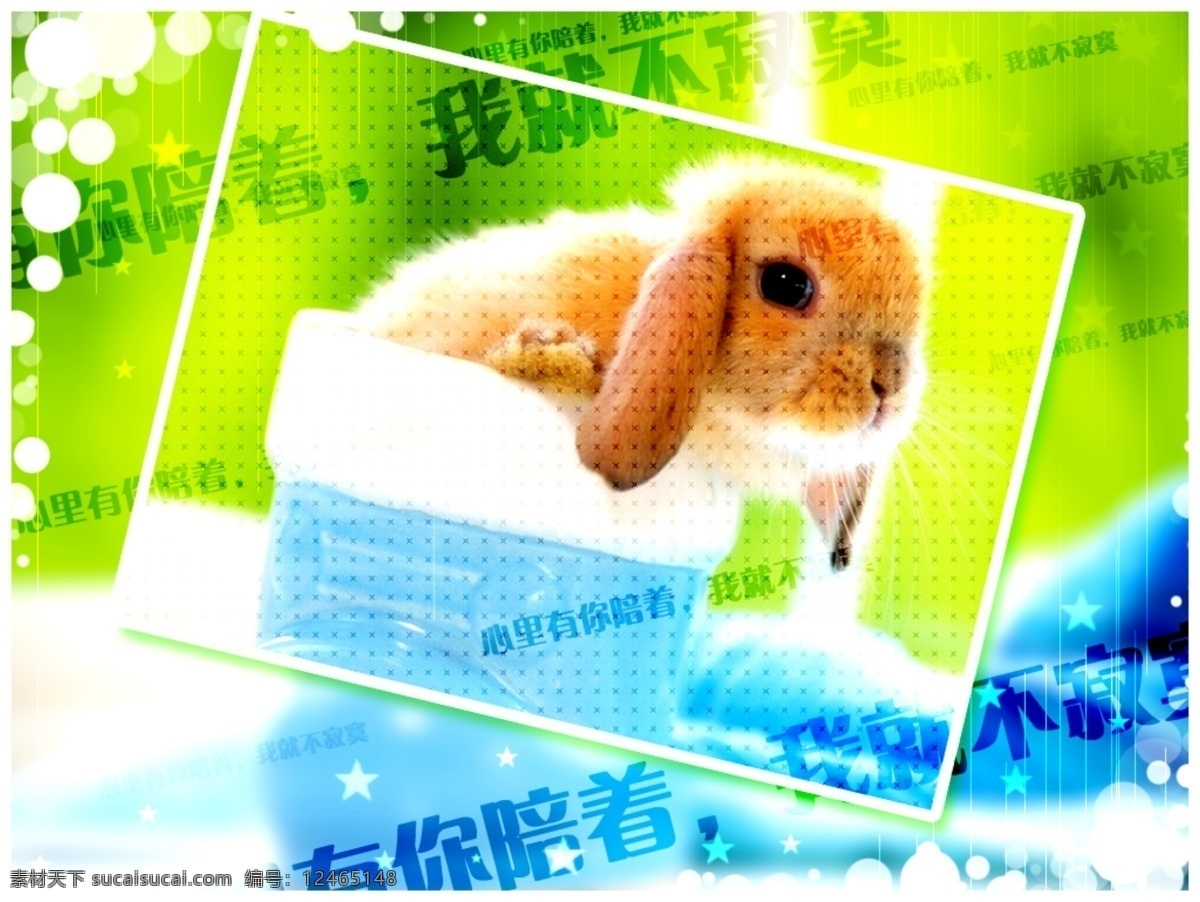 动物 写真 可爱 蓝色海洋 绿色背景 小兔 阳光 psd源文件