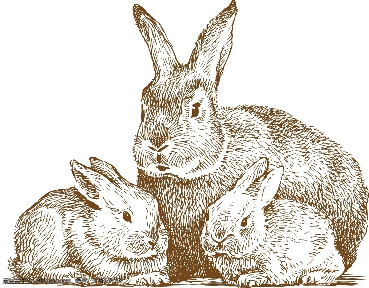 手绘 兔子 矢量 动物 可爱 矢量素材 素描 速写 线稿 线条 小兔 矢量图 其他矢量图