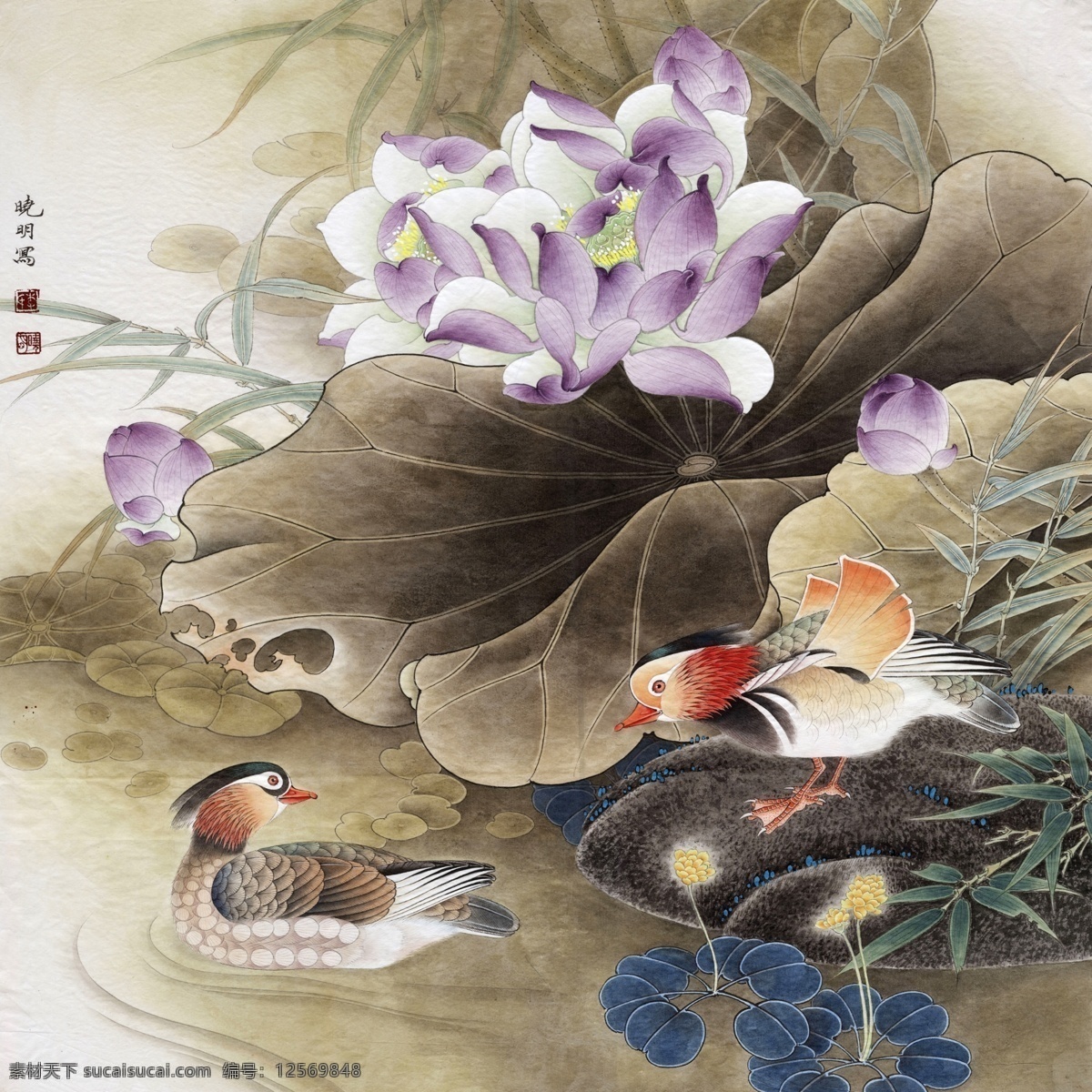 中式 古典 花鸟 工笔画 中国风绘画 精美绘画 植物花鸟 装饰画 古典画 牡丹花朵 绿叶 繁花 文化艺术 美术绘画