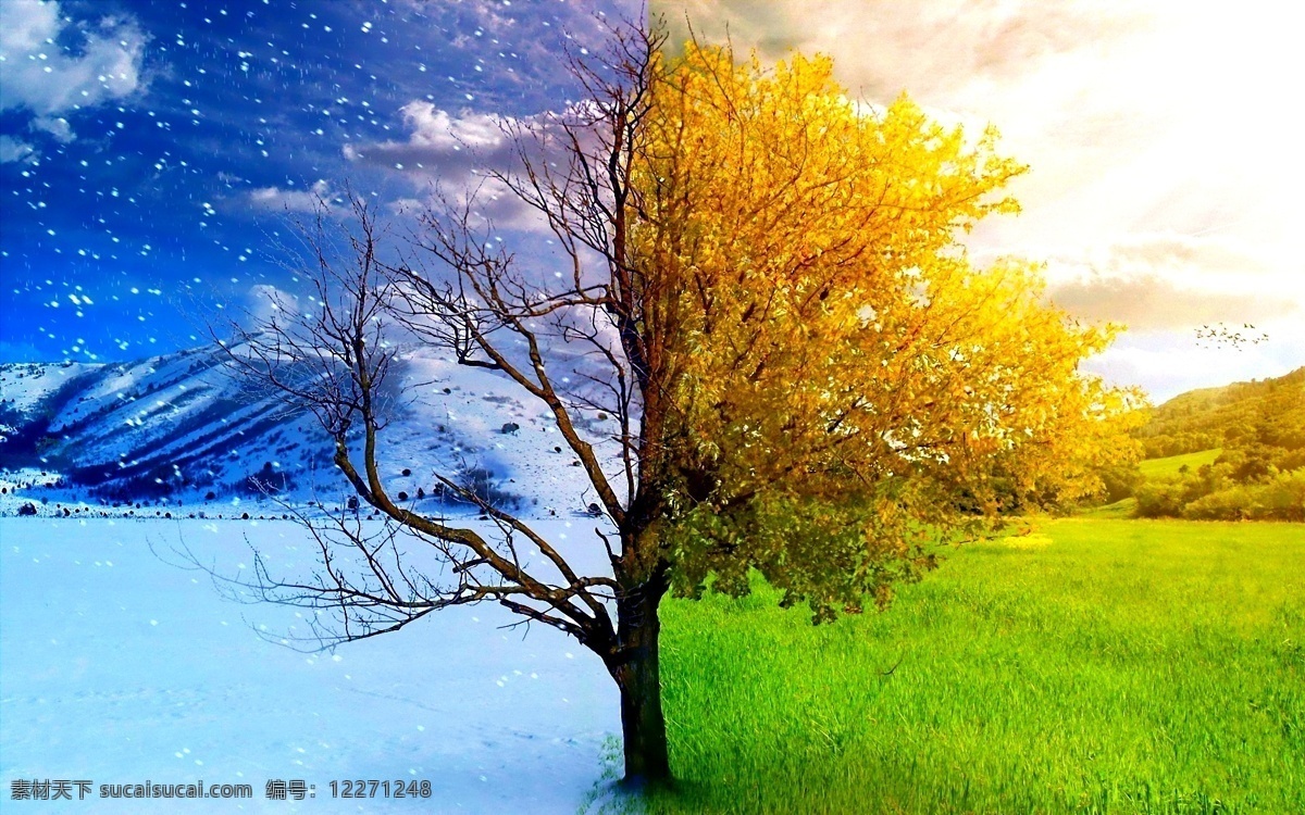 秋冬季节更替素材图片下载-素材编号12271248-素材天下图库