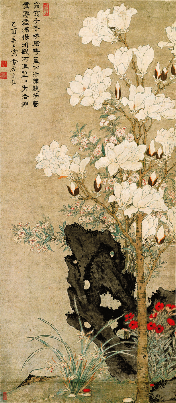 玉堂 兰石 图 很美的玉兰花 文化艺术