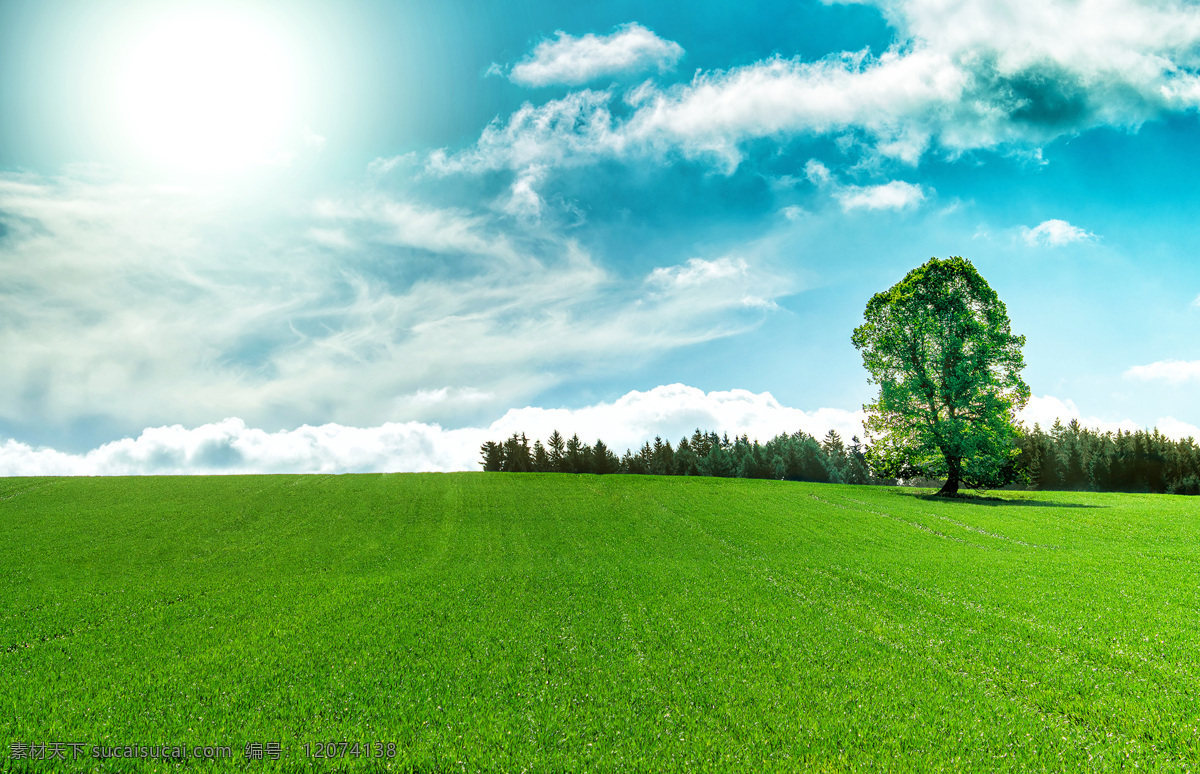 蓝天 白云 草地 美丽风景 草原美景 蓝天白云 风景摄影 自然风景 自然景观 绿色