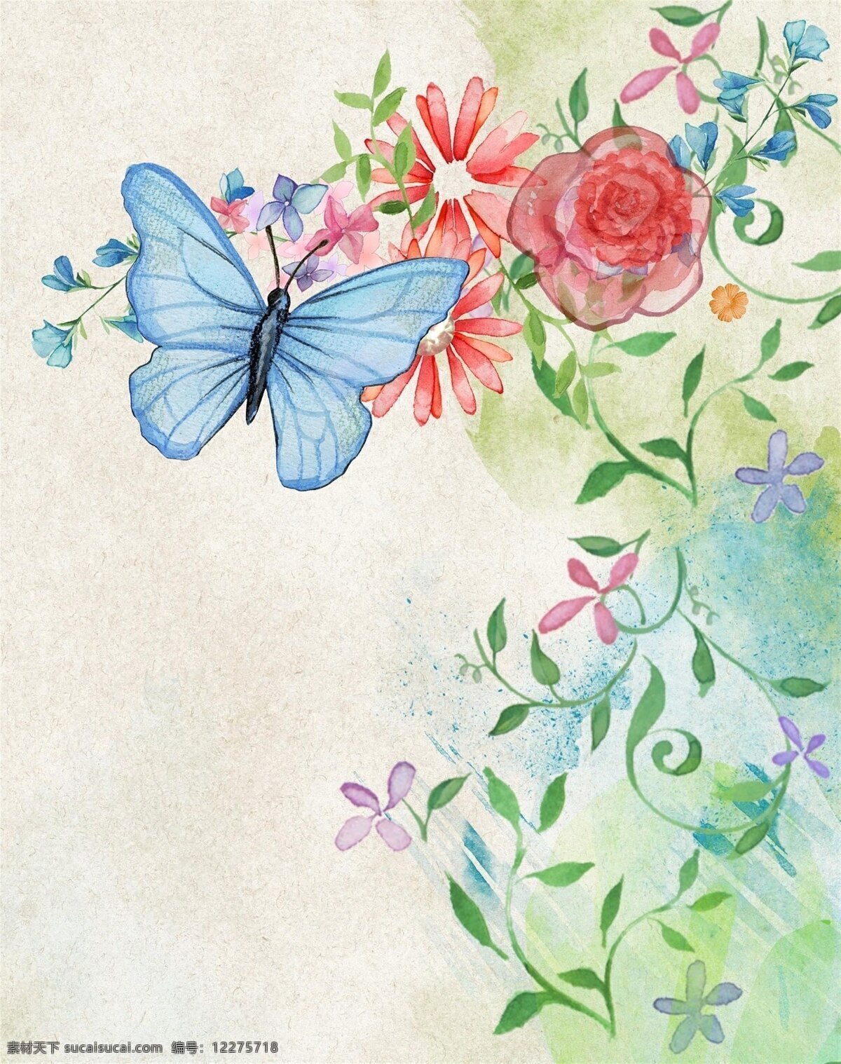 蝴蝶插画 蝴蝶 彩色蝴蝶 动物 卡通 手绘 卡通设计