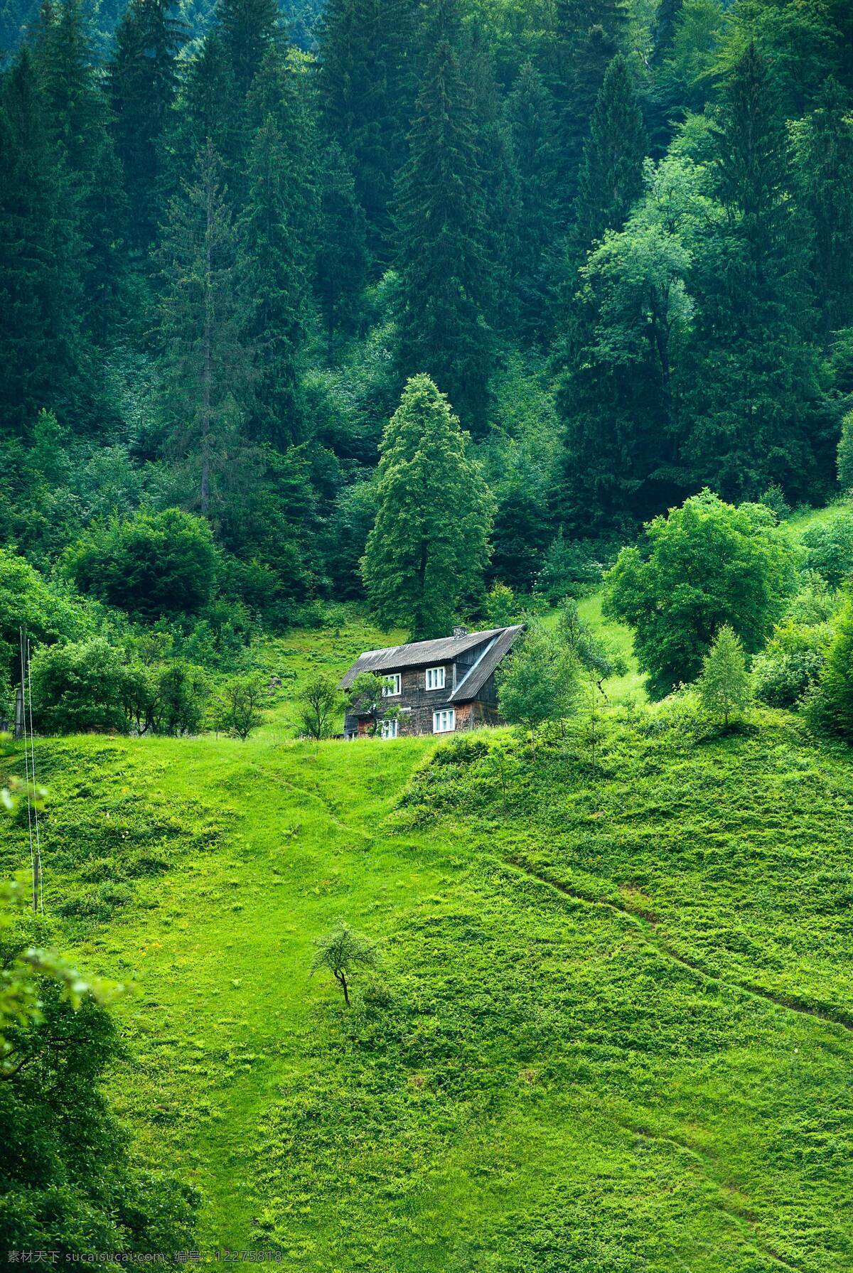 青山中的小屋 小屋 房子 小房子 青山 山坡 绿树 树木 树林 大山 森林 自然景观 自然风景