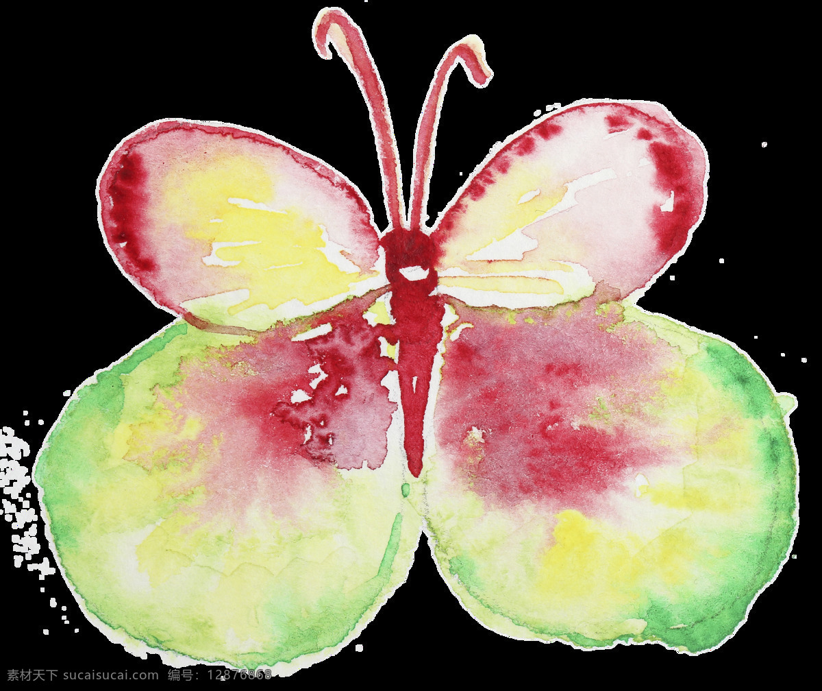 果肉 蝴蝶 卡通 透明 装饰 自然 动物 透明素材 免扣素材 装饰图案