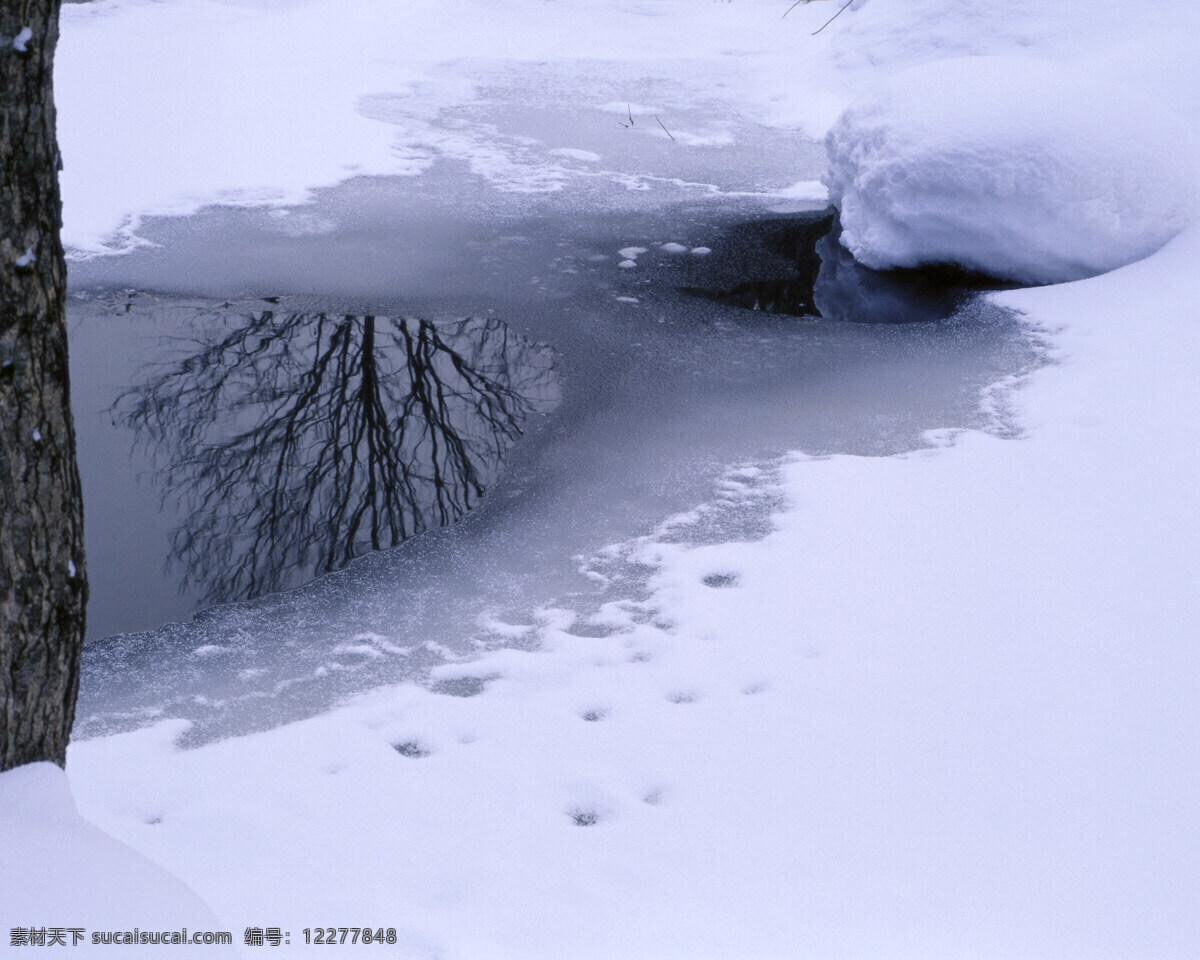 冬天雪景 树林 清新 梦幻 美丽 雾凇 河流 倒影 自然景观 自然风景