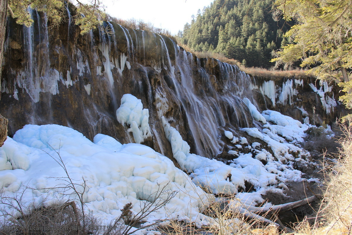 诺日朗瀑布 瀑布 冰挂 积雪 枯草 绿树 九寨沟 风景名胜 自然景观