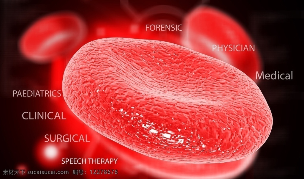 血液 血小板 血液干细胞 红细胞 细胞 医学 医疗 生活百科 医疗保健