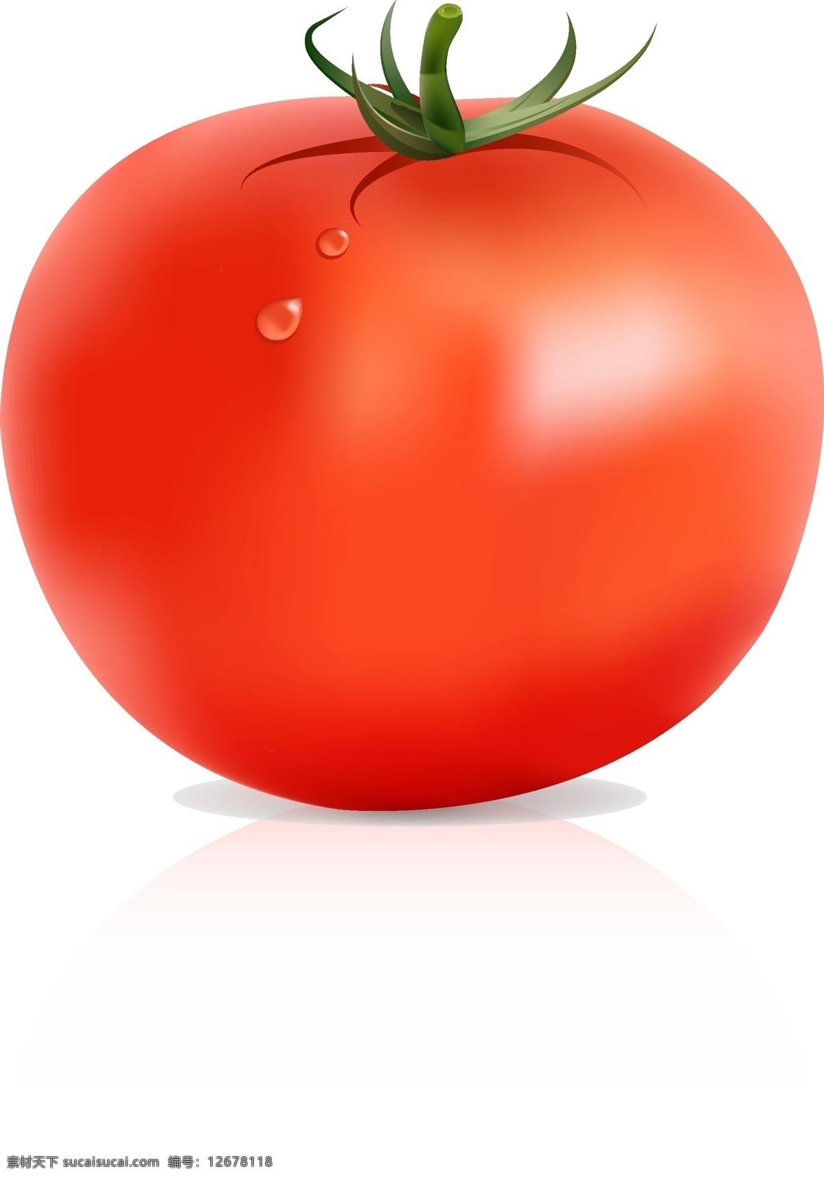 番茄ai 西红柿矢量图 卡通西红柿