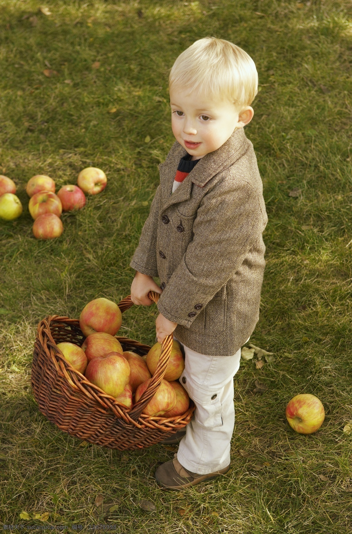 苹果 儿童 草地 苹果摄影 苹果素材 水果 儿童摄影 小孩 果篮 儿童图片 人物图片