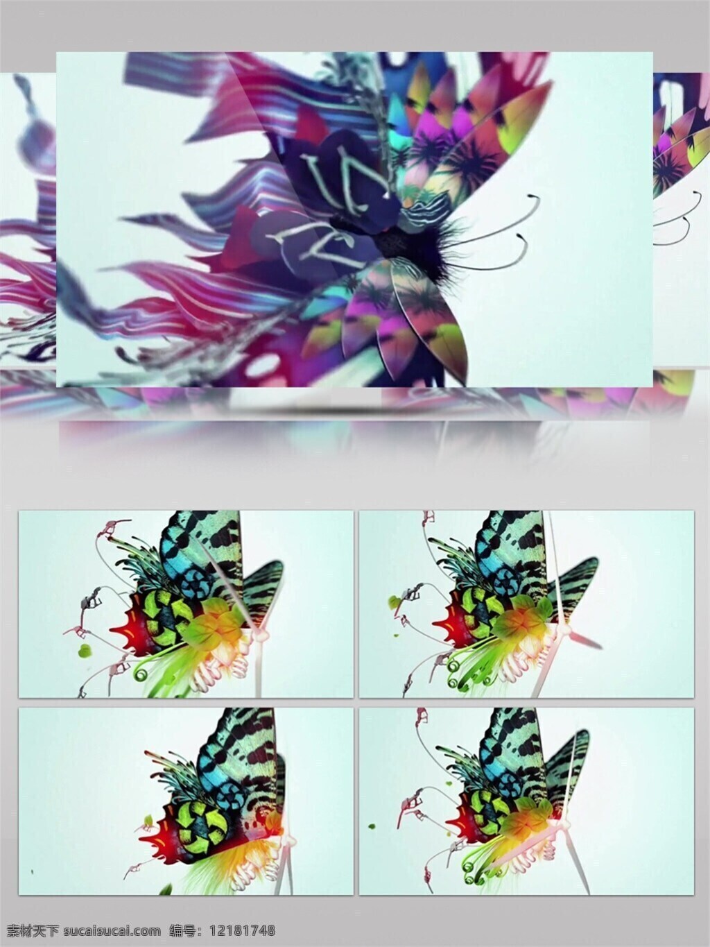 炫 酷 彩色 中国画 高清 视频 水墨中国画 昆虫 视频素材 动态视频素材