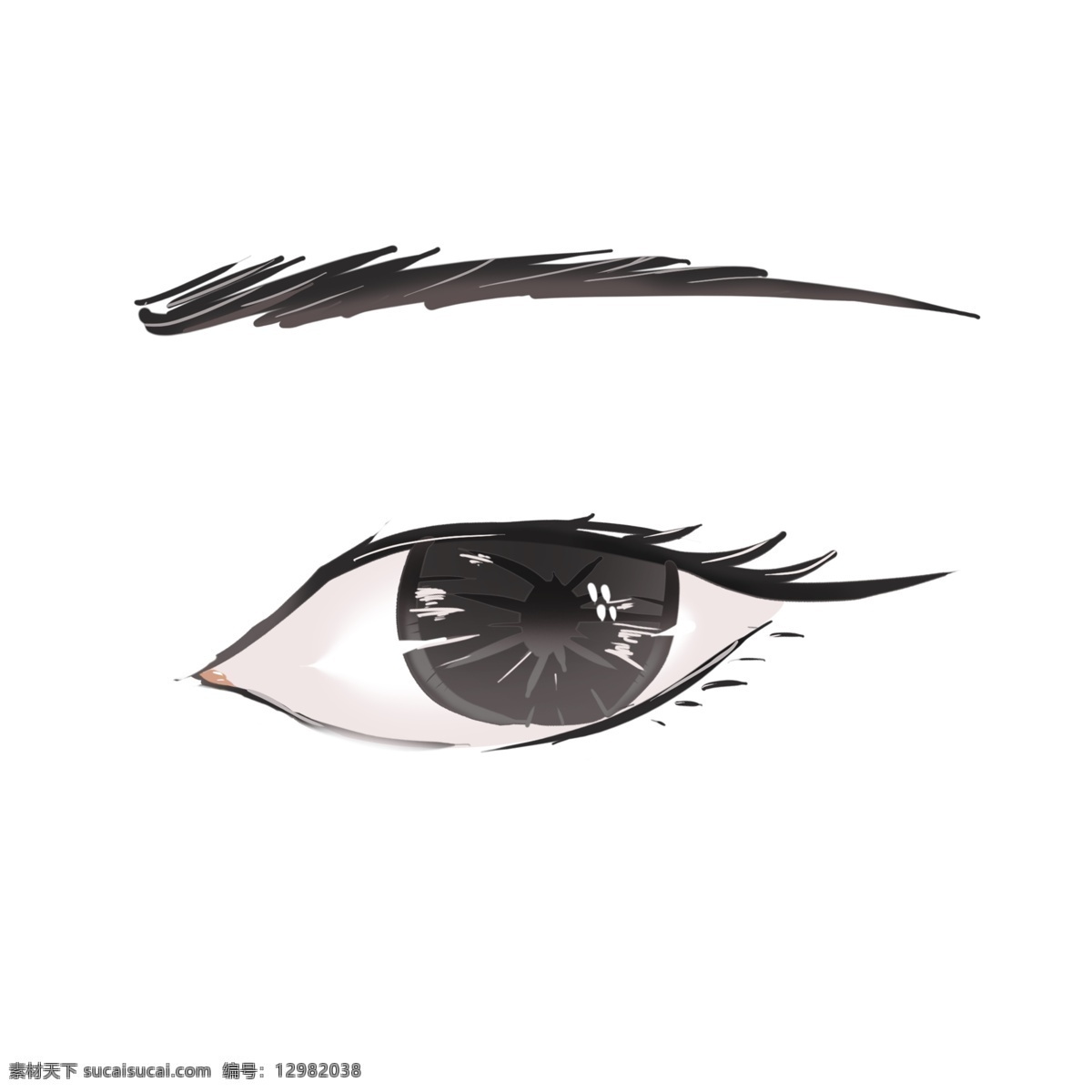 漂亮 人体 眼睛 插图 漂亮的眼睛 大大的眼睛 人体的器官 翘起的睫毛 长长的眉毛 黑黑的眼睛