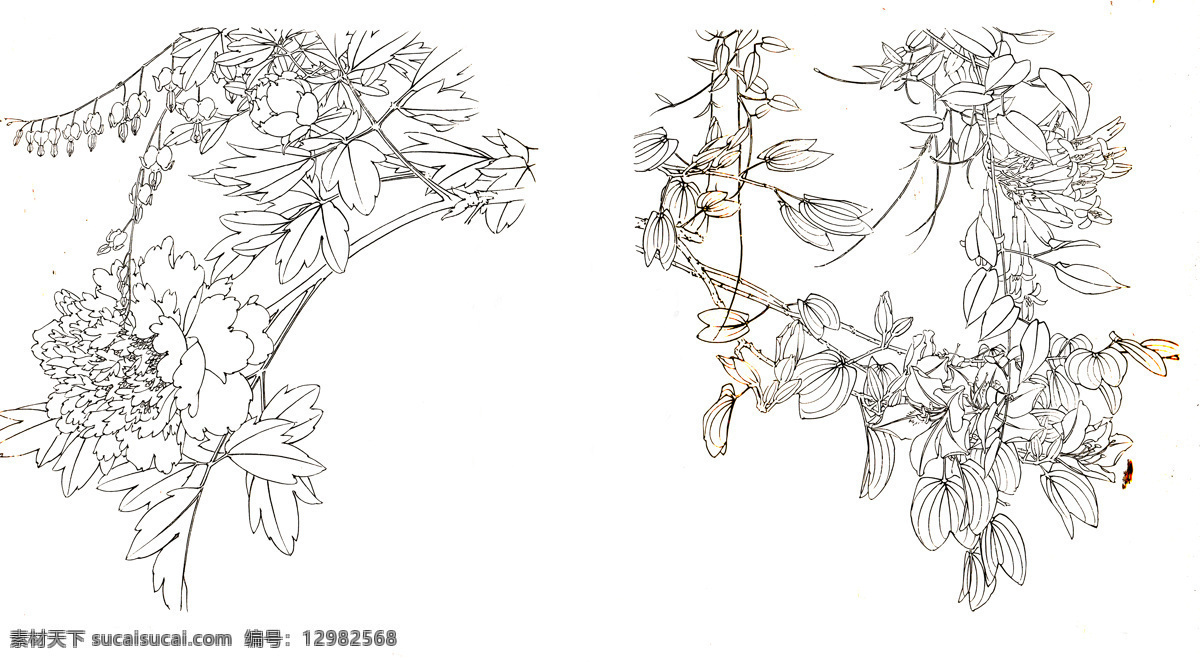 花卉白描 线描 白描 花卉 牡丹 手绘 黑白 素描 jpg格式 花边花纹 底纹边框