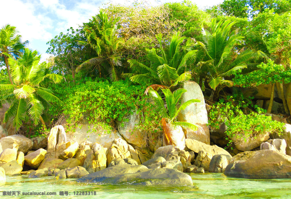 自然 美景 蓝天 白云 椰子树 石头 绿树 草 海水 海浪 山水风景 风景图片