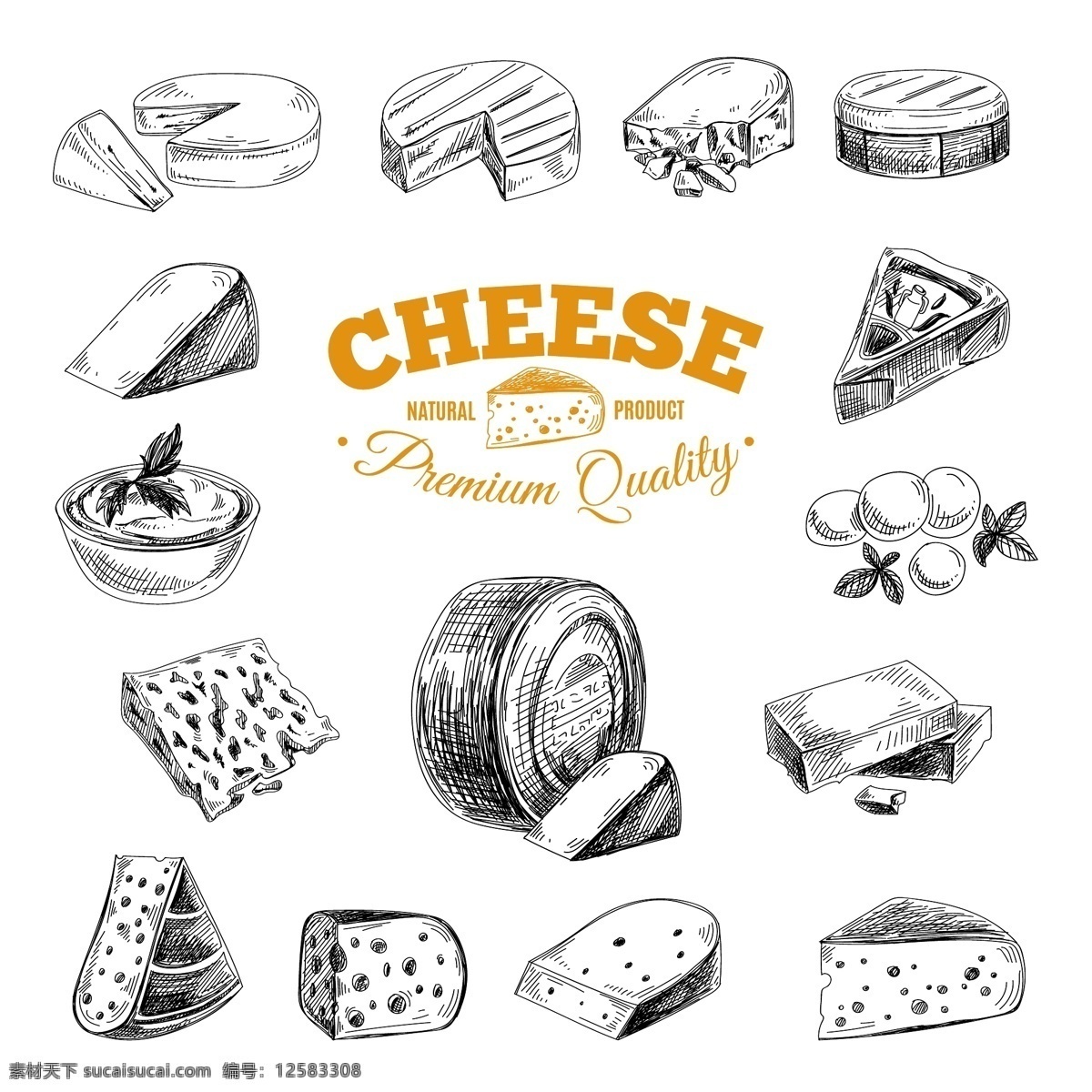 手绘奶酪主题 食品 手绘 素描 奶酪 主题 白色
