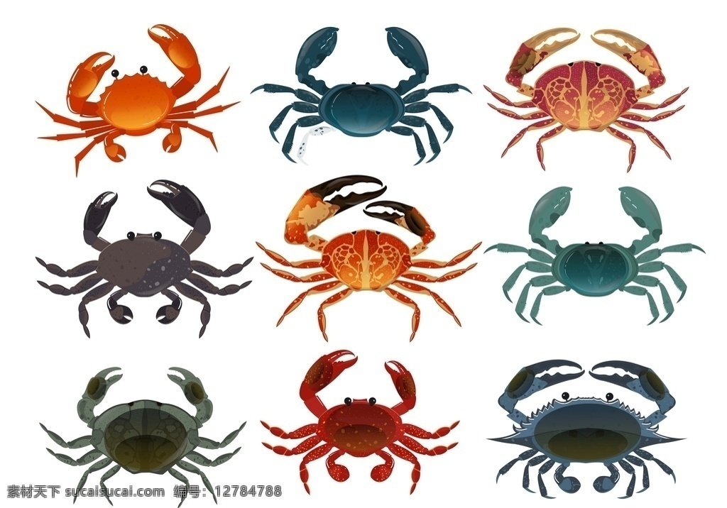 螃蟹图片 螃蟹 矢量螃蟹 螃蟹矢量 蟹 八条腿 矢量素材动物