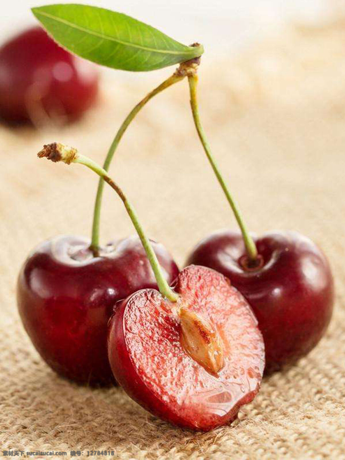樱桃水果 樱桃 水果 植物 食物 生物世界
