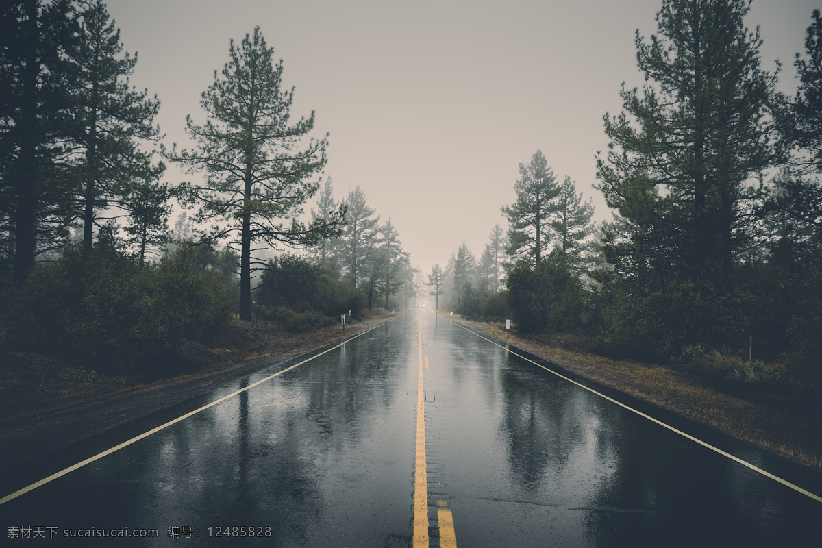 静态下雨场景 下雨 道路 背景 雨伞 树林 树木 公路 安静 幽静 风景 自然景观