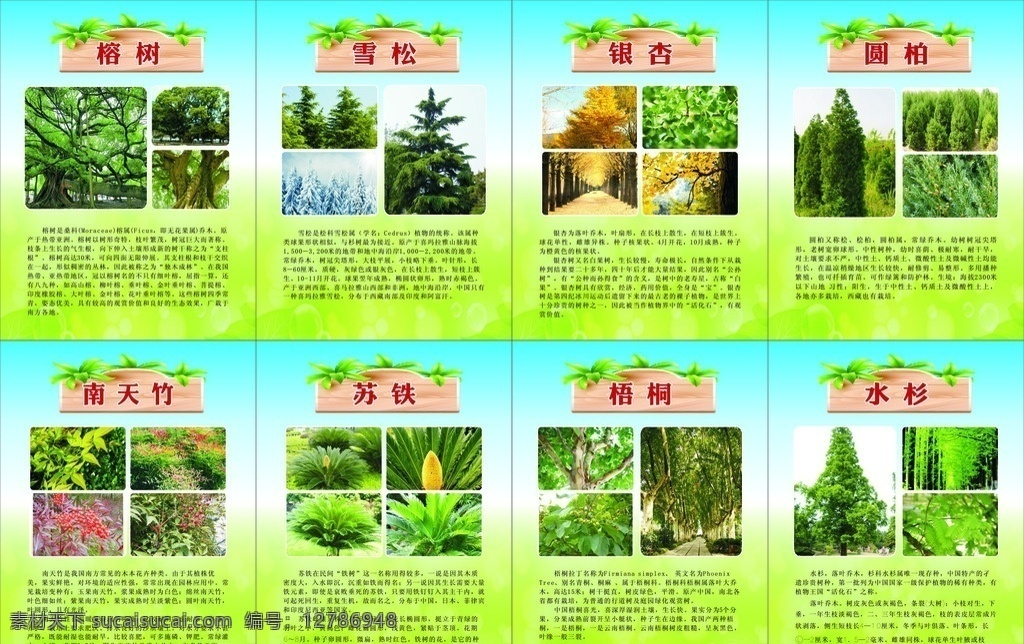 树木植物挂牌 植物挂牌简介 植物简介 挂牌 吊牌 树木简介牌 花木简介 树木简绍牌 展板模板 室外广告设计