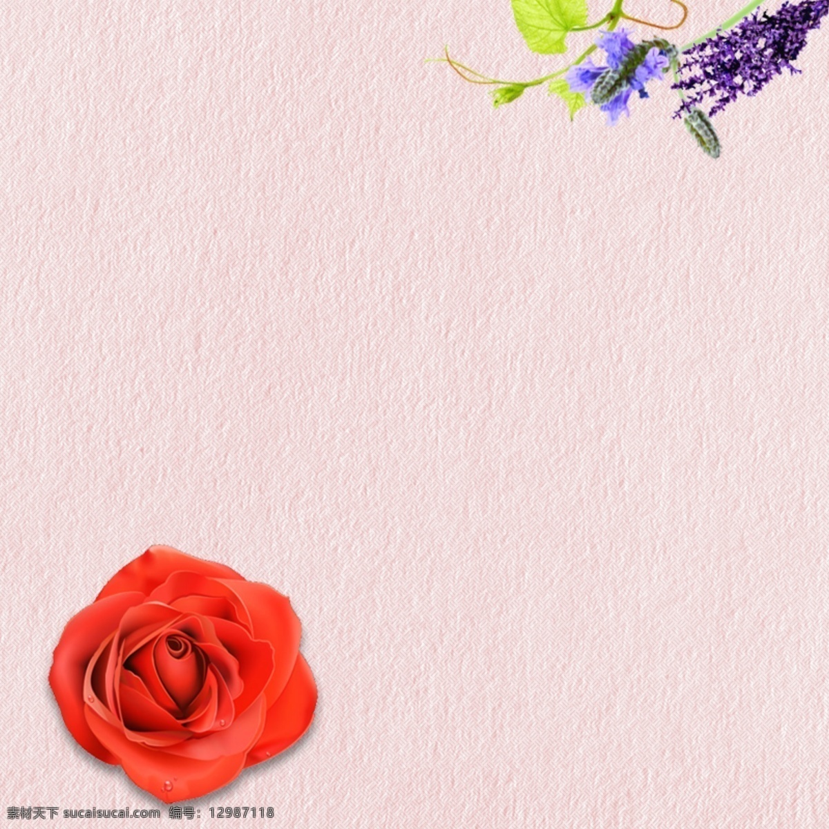 淘宝 粉色 温馨 玫瑰花 背景