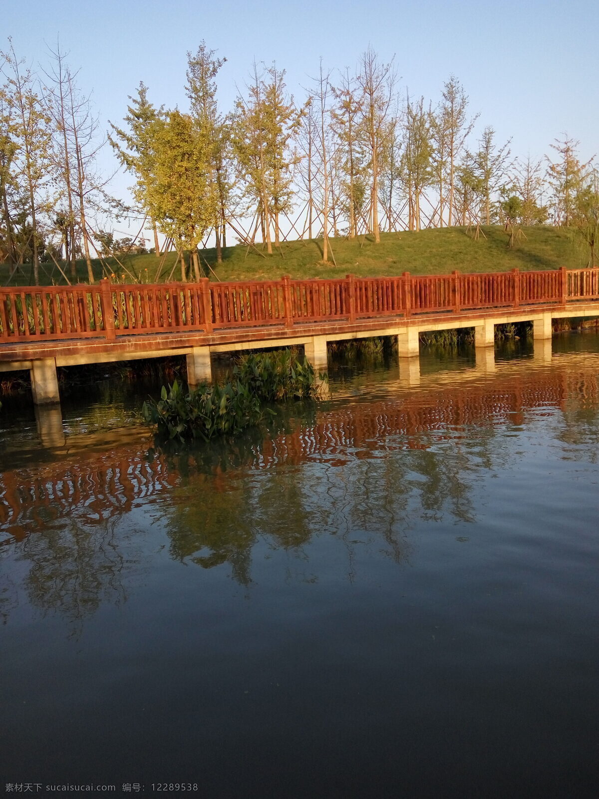 风景 湿地公园 长桥 生活 树木 水波 倒影