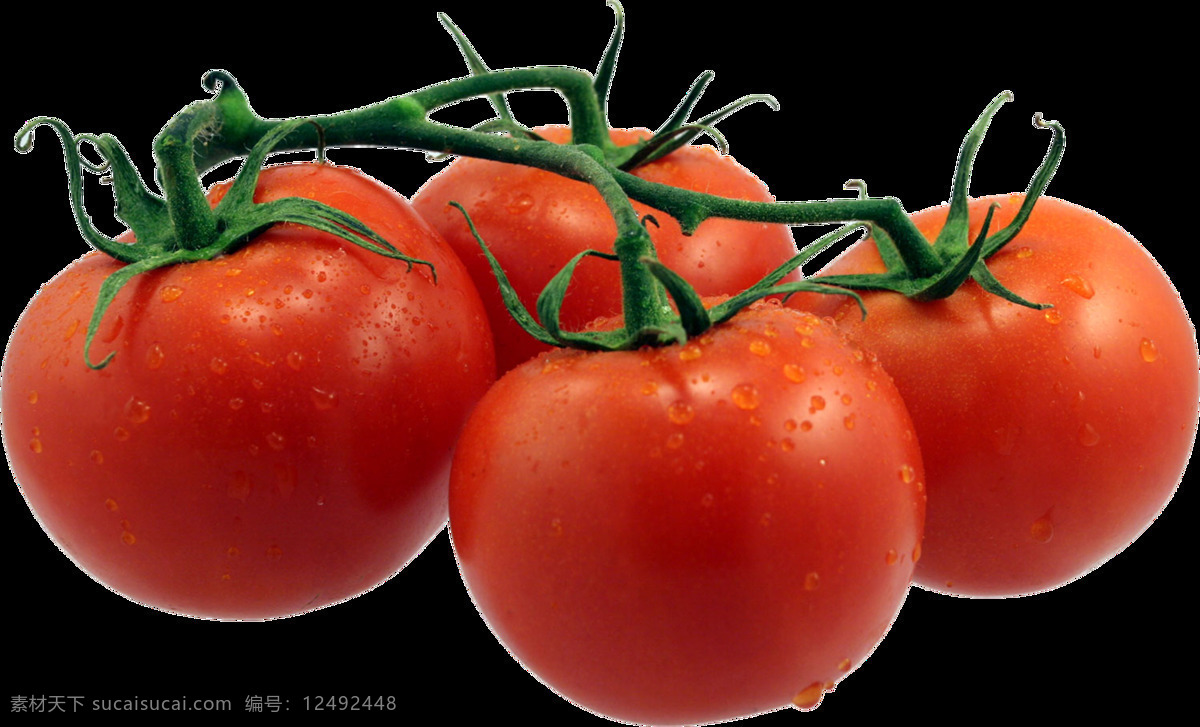西红柿 洋柿子 番茄 粉柿子 红柿子 png图 透明图 免扣图 透明背景 透明底 抠图 生物世界 蔬菜