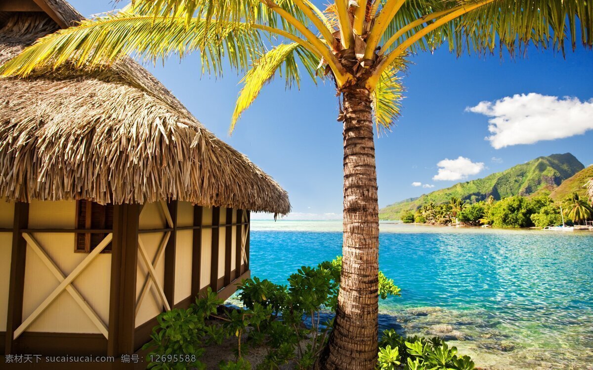 海岛风景 波利尼西亚 博拉 岛 高清 风景 博拉博拉岛 岛屿 海盗 海
