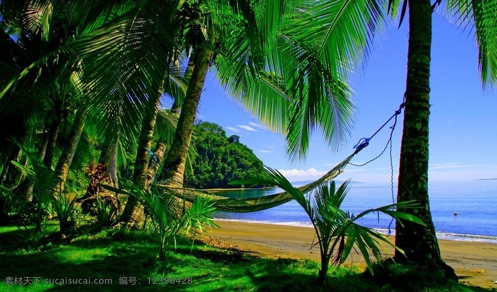 海滩 椰树 热带海岛 海岛 热带 天堂 沙滩 大海 海 蓝天 白云 旅游 度假 美丽 自然风景 自然景观
